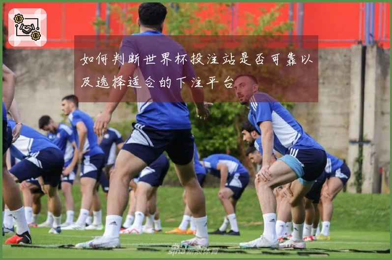 如何判断世界杯投注站是否可靠以及选择适合的下注平台