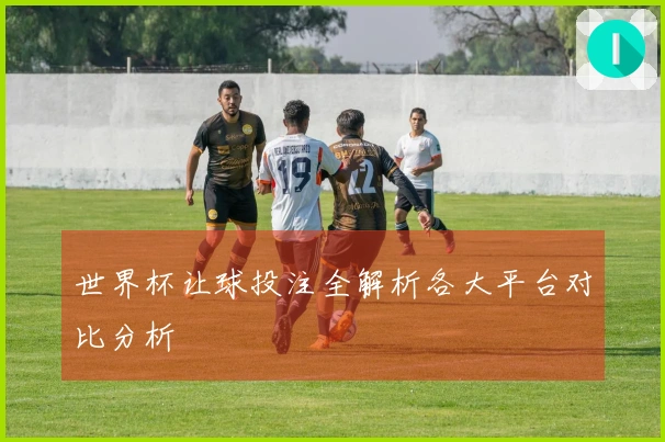世界杯让球投注全解析各大平台对比分析